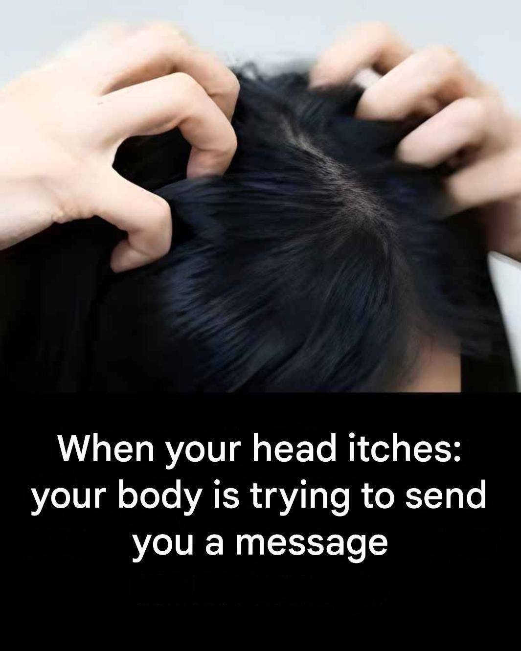 641577733 122284863350020465 5837275185232201370 n