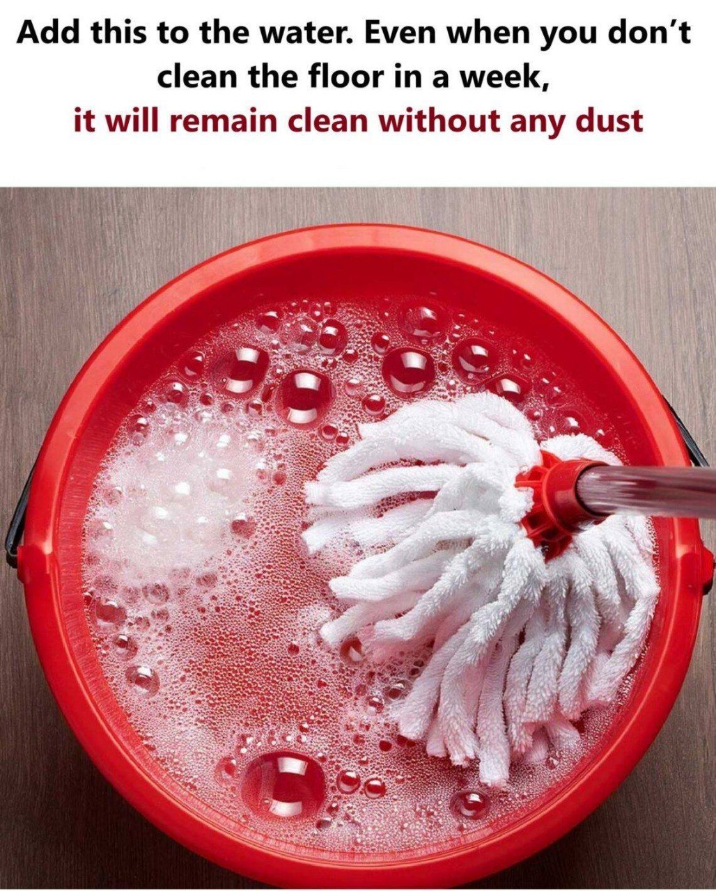 646990636 1561447971595887 651278949272623684 n
