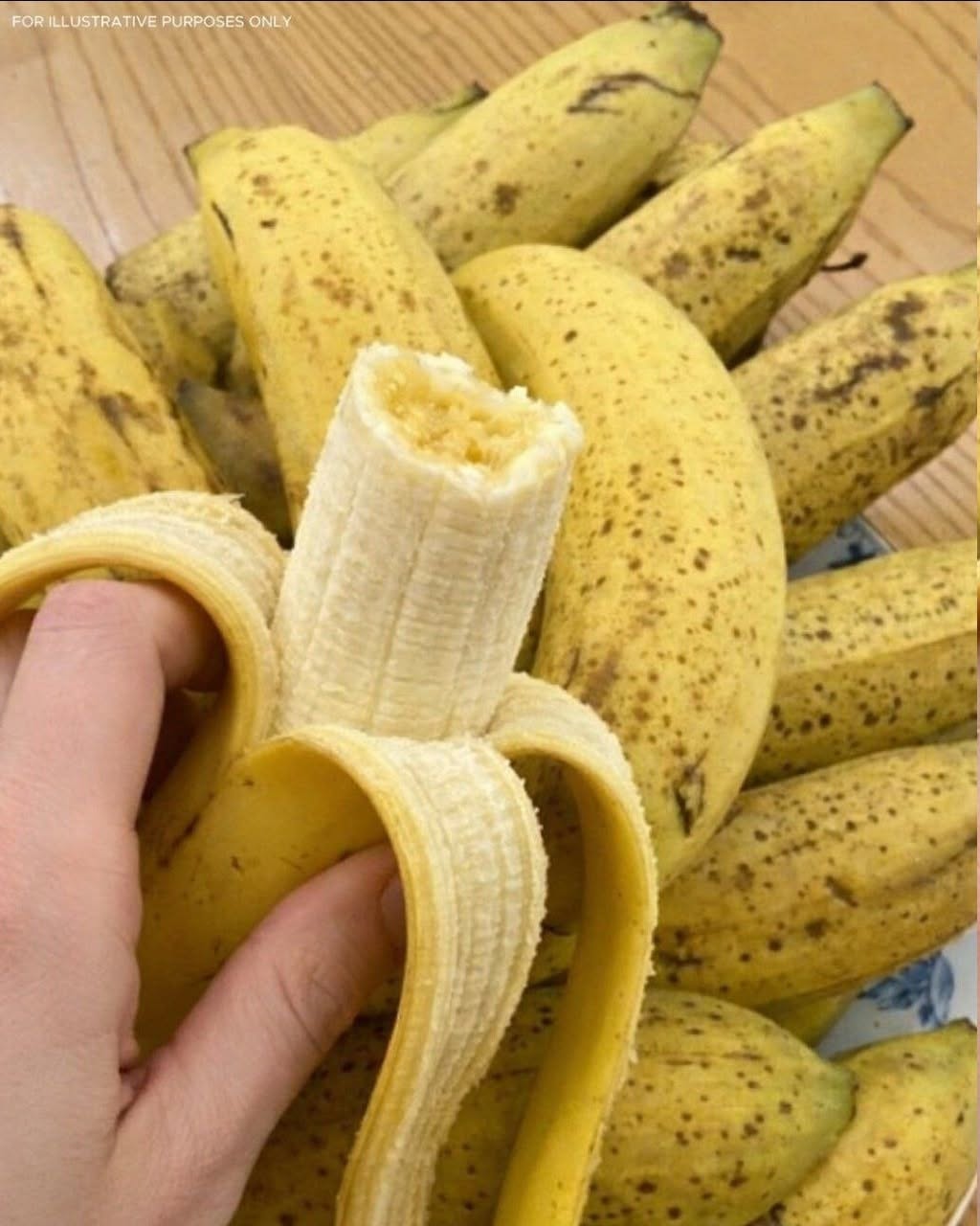 723509144 941598698936805 7046181397206720910 n